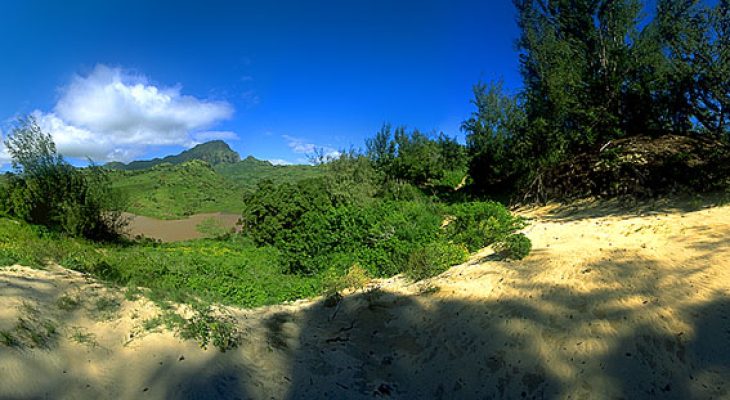 Mahaulepu Sand Dunes