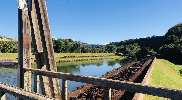 Hanapepe Swinging Bridge