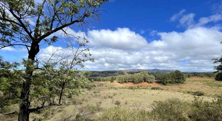 G&R Properties - Mauka