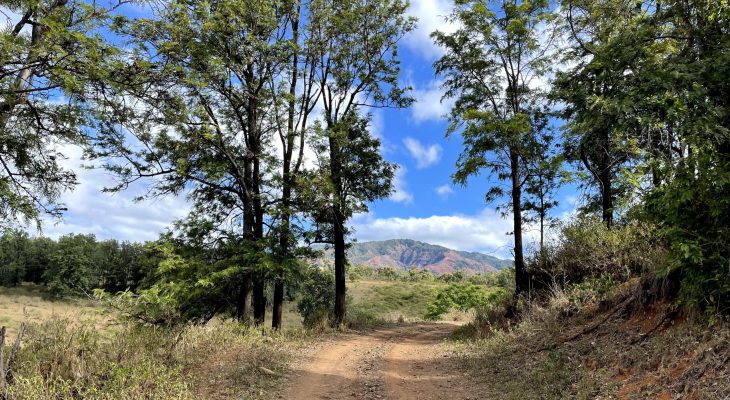 G&R Properties - Mauka