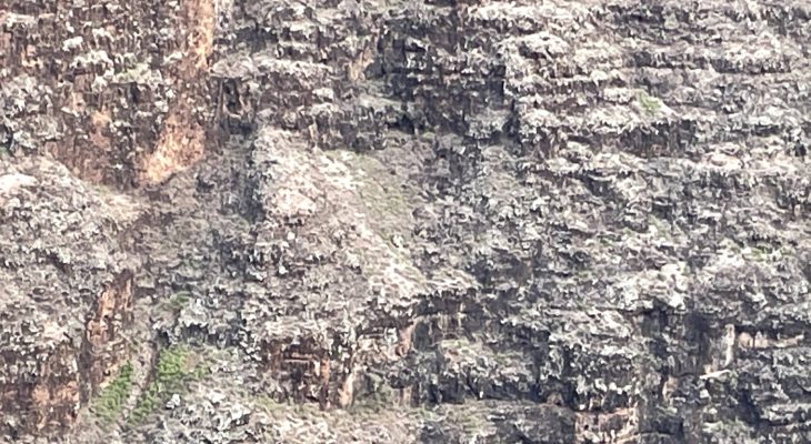 G&R Properties - Mauka