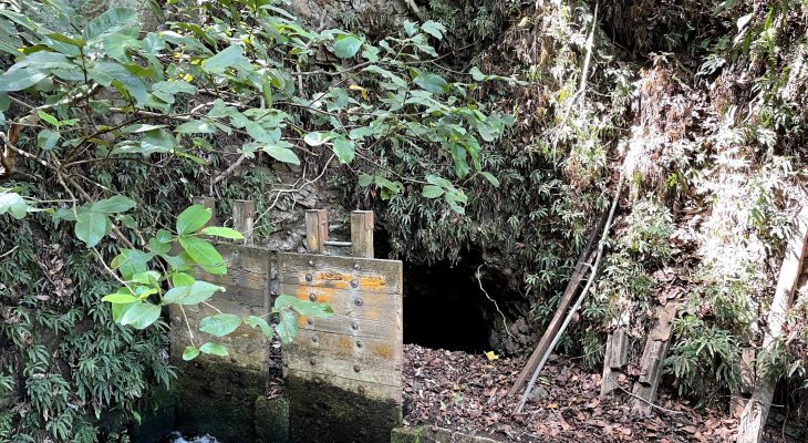 G&R Properties - Mauka