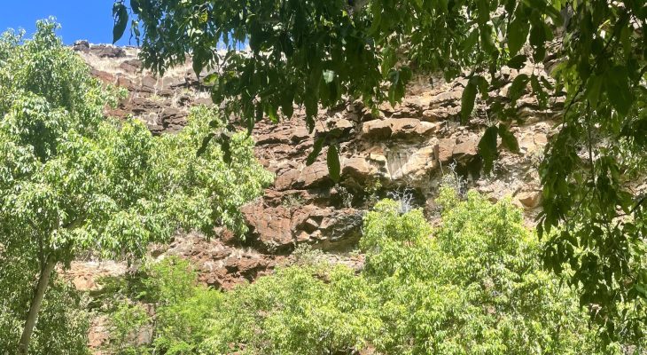 G&R Properties - Mauka