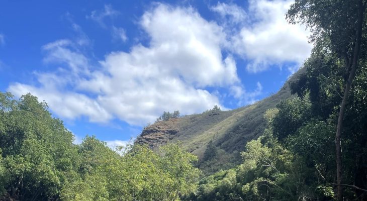 G&R Properties - Mauka