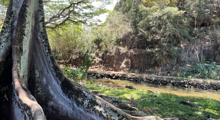 National Tropical Botanical Gardens - Lawai